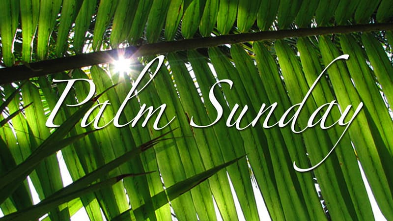 Palm Sunday